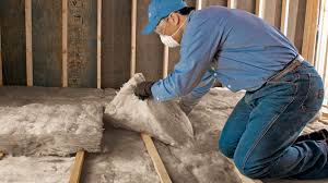 Professional Insulation in Louisa, KY